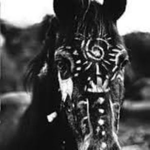 Meet your Posher, Leata lee ann